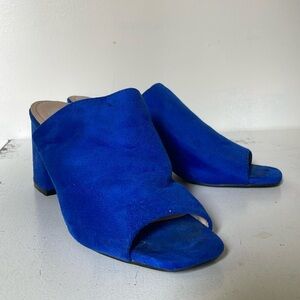Blue Mules